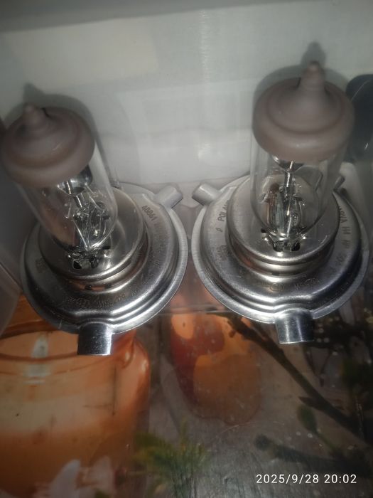 Авто лампы галогенные.