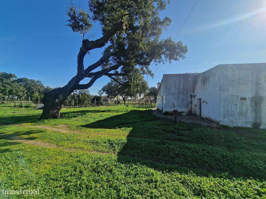 Monte c/cerca de 27h, em Abela, Santiago do Cacém