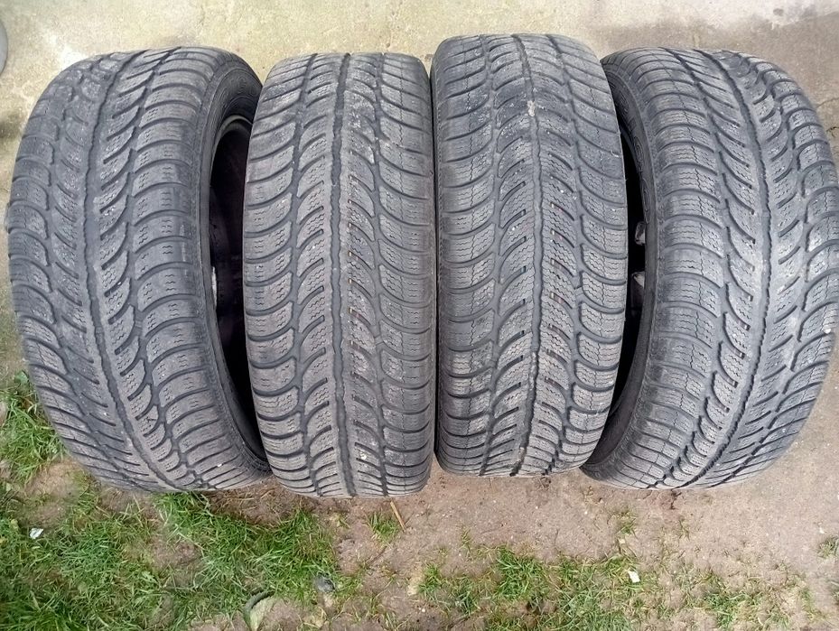 Opony zimowe DĘBICA Frugo2 205/55R16.