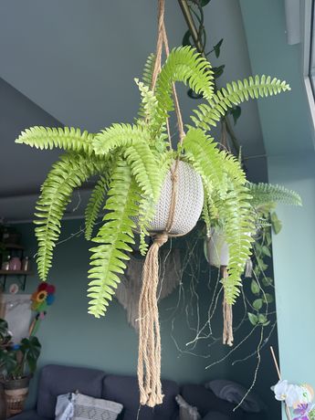Kwietnik wiszący ze sznurka makrama 86cm 2szt
