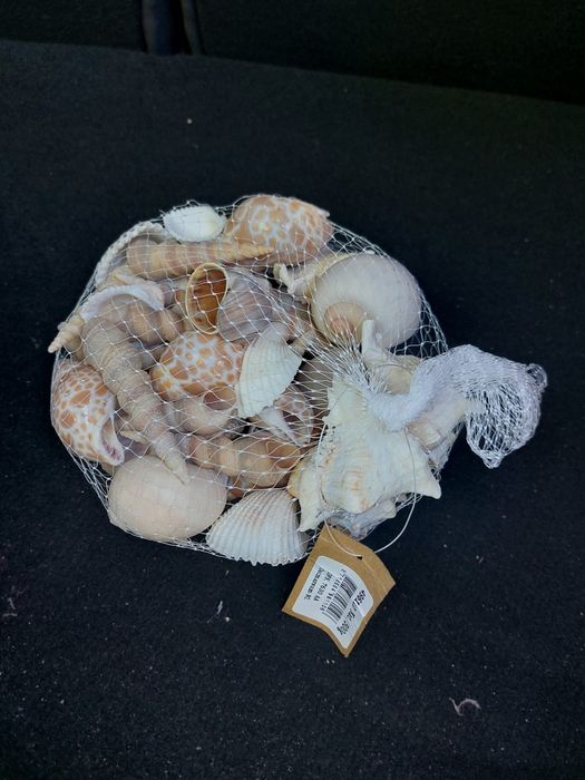 Muszelki morskie dekoracyjne