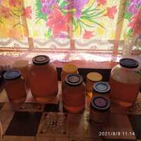 Розпродаж меду урожаю 2023 року