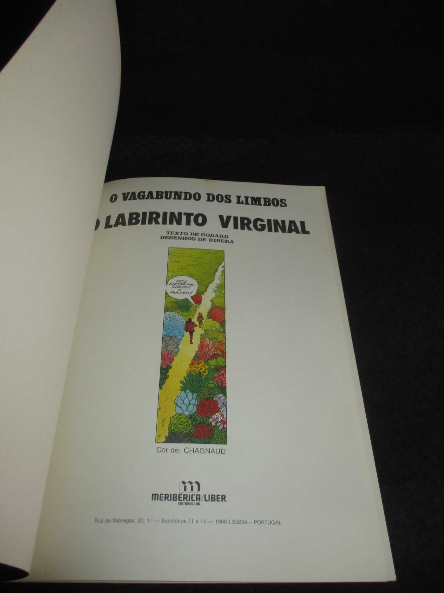 Livro BD O Vagabundo dos Limbos O Labirinto Virginal Godard