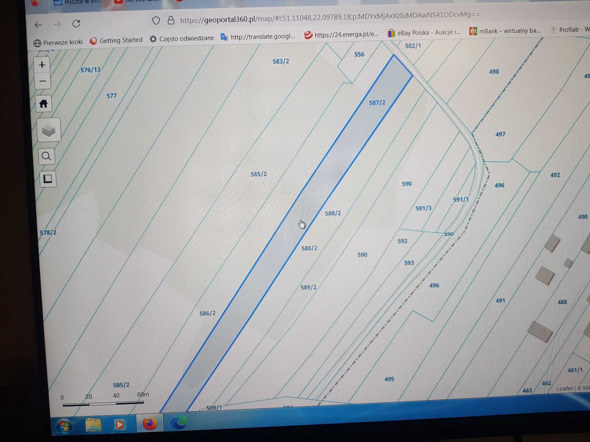 Sprzedam ziemię 1,55 ha plus 0,57 ha lasu w m. Budzyń gm.Chodel