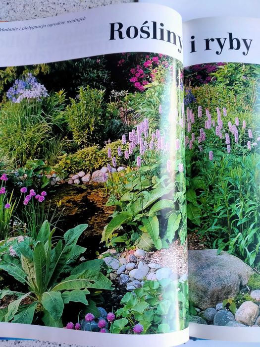 Ogród wodny - Poradnik dla początkujących