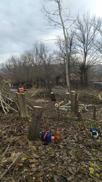 Обрізати Спилити Дерево!!! Чистка Дерев.Чернівці