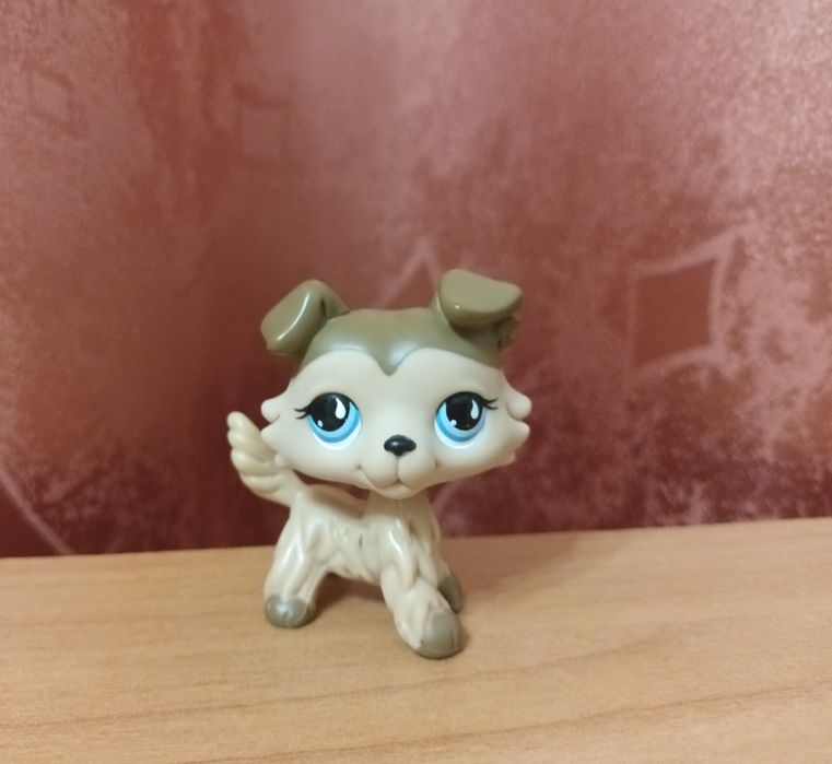 LPS,  littlest pet shop лпс пети оригінальний коллі. Стара колекція