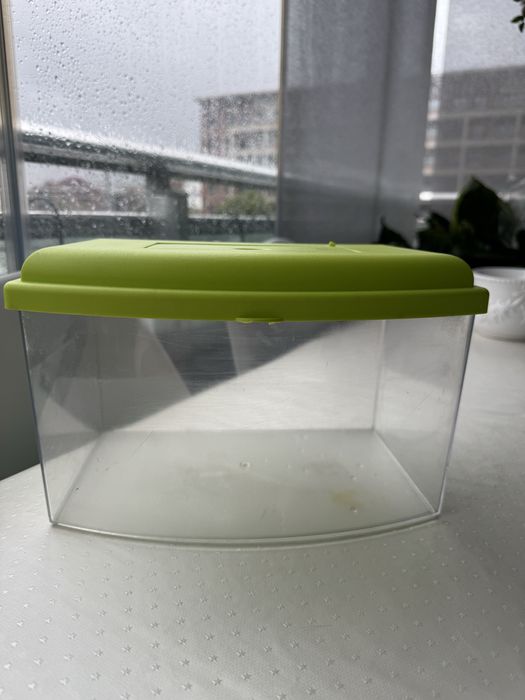 Aquário com filtro eléctrico