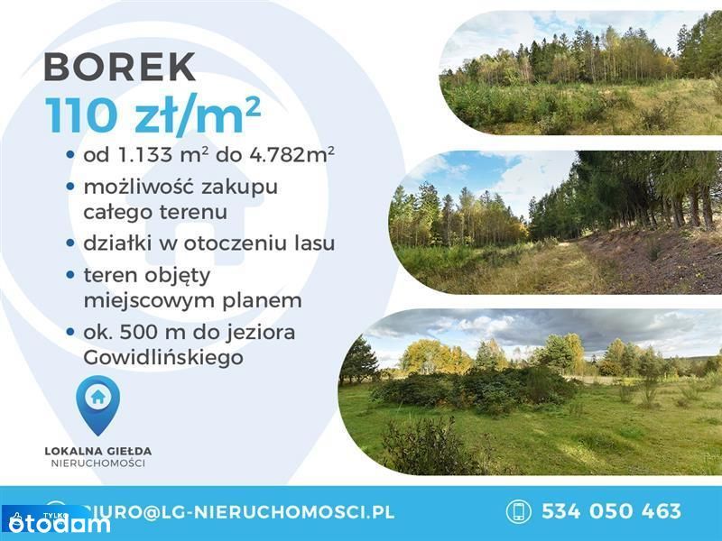 Otoczeniu lasu, Jezioro Gowidlińskie 500m