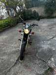 Yamaha virago 250cc