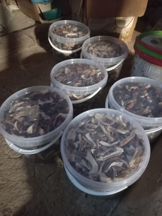 В наявності сушені гриби