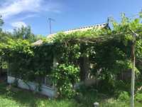 Дачный участок с домиком и садом (Старый Мерчик)