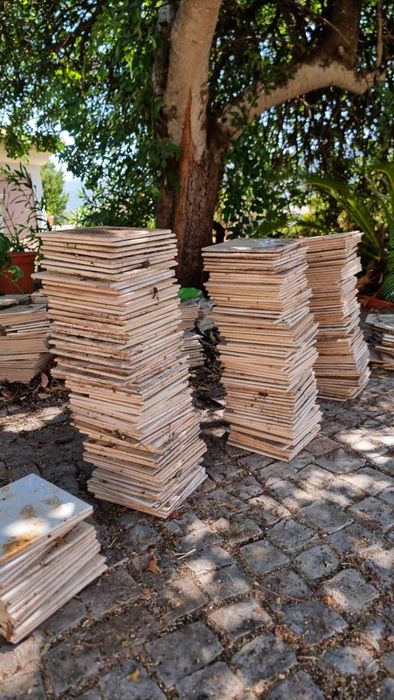 Azulejos brancos 20x20