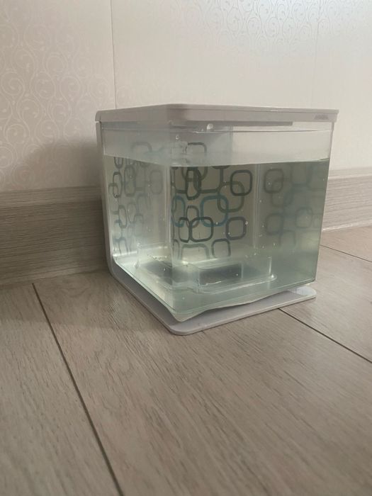 Акваріум портативний пластмасовий