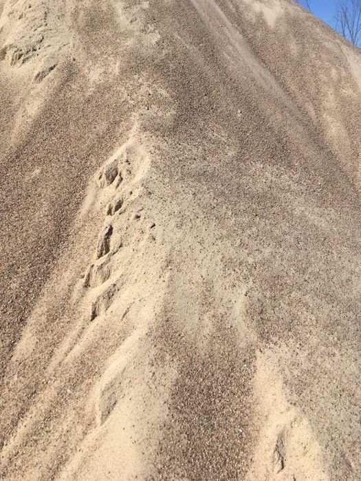 Ziemia przesiewana, tłuczeń,  piasek płukany, zasypowy, kamyki