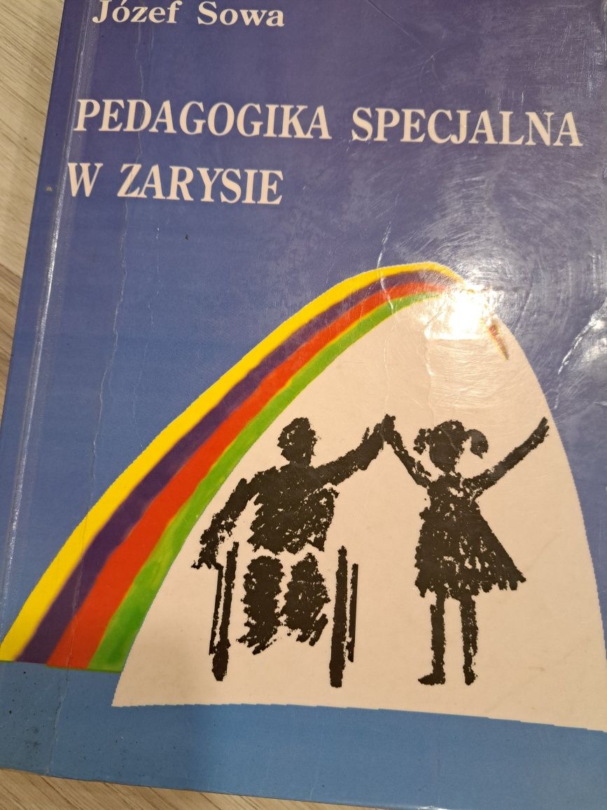 Pedagogika specjalna w zarysie Sowa