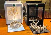 terrarium dla skakuna druk 3d