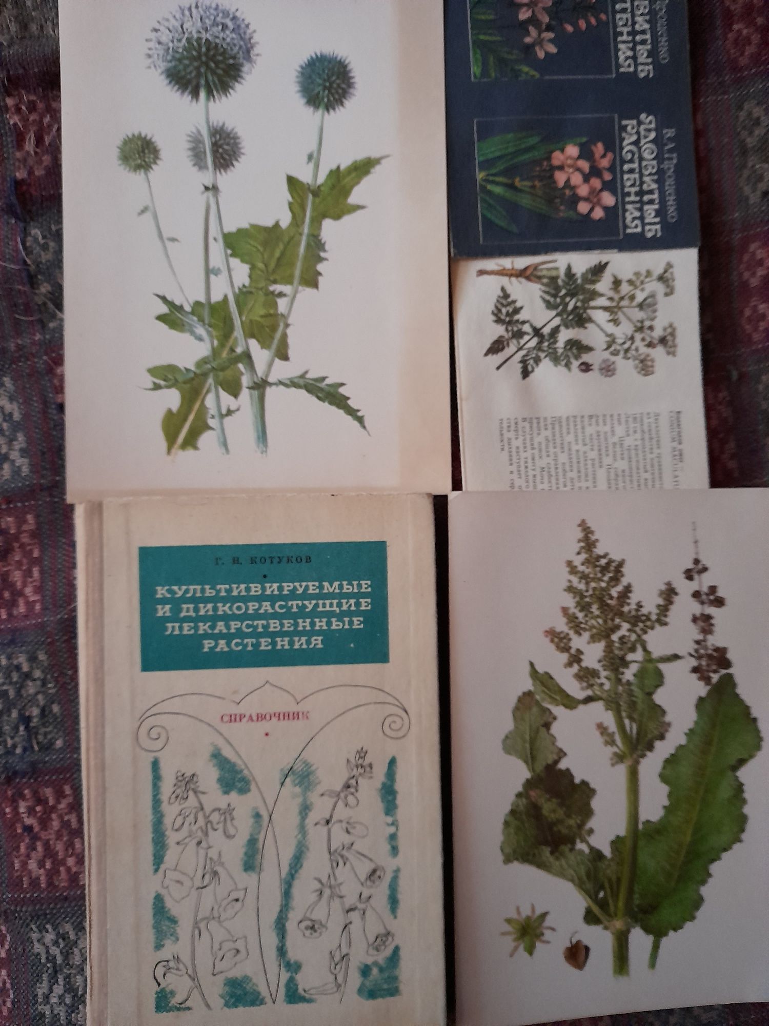 Медицина в поэзии.Лекарственные растения