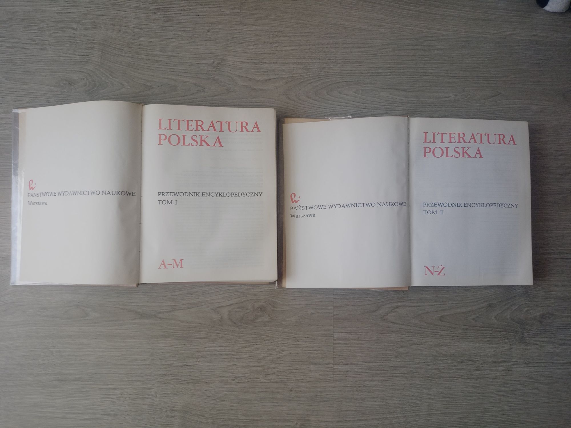 Literatura Polska PWN przewodnik encyklopedyczny