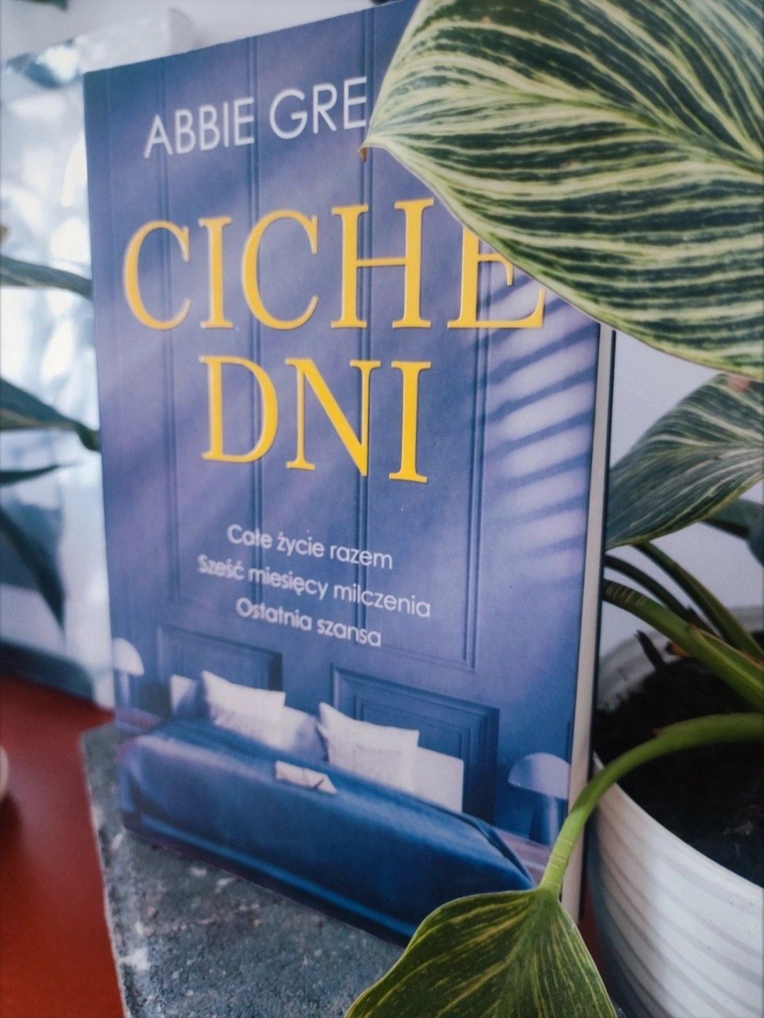 Książka " Ciche dni " - Abbie Greaves