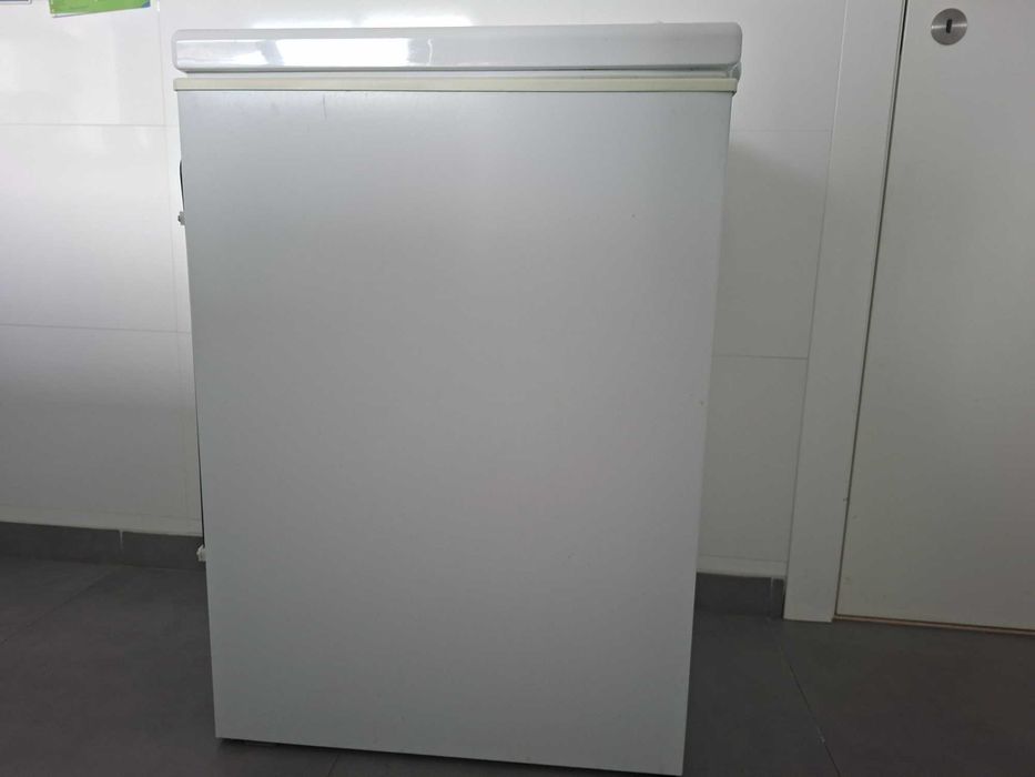 Arca congeladora Junex 102L