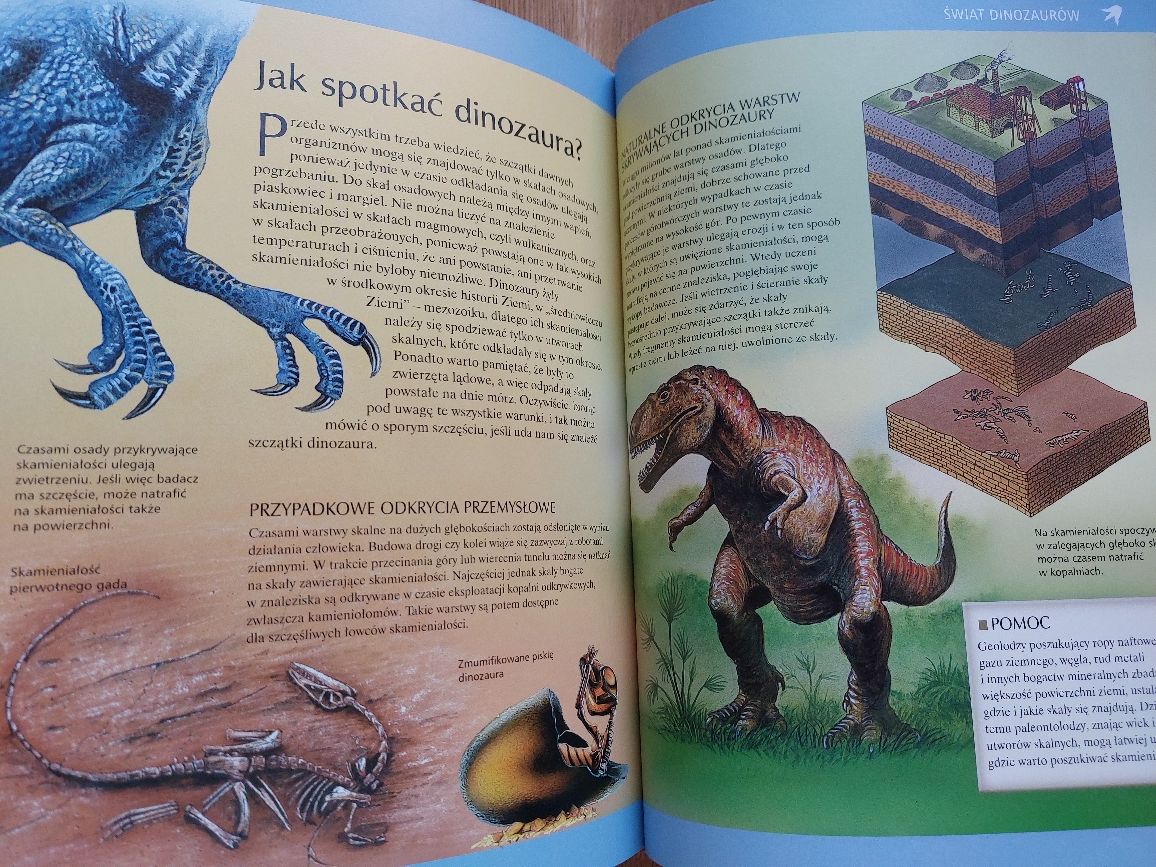 Album Groźne dinozaury i zwierzęta prehistoryczne książka