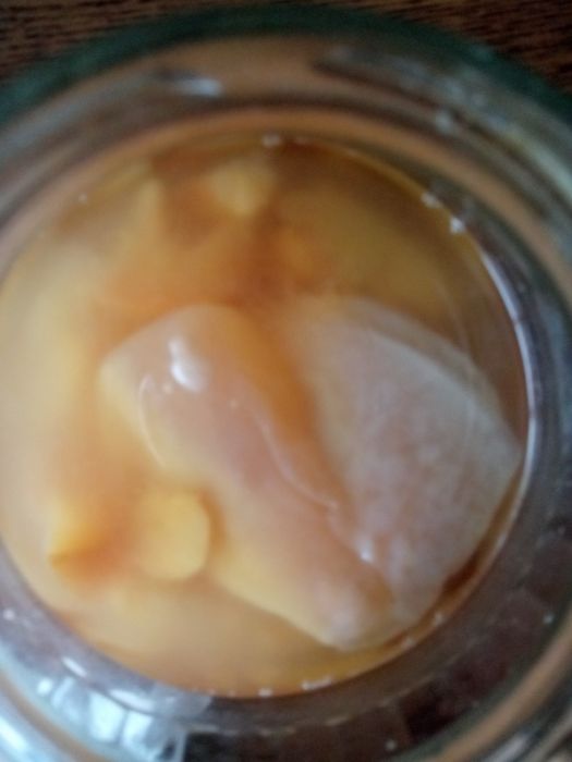 Żywe ocet owocowe ziołowe Oxymel naturalne min  ocet jabłkowy  wrotycz