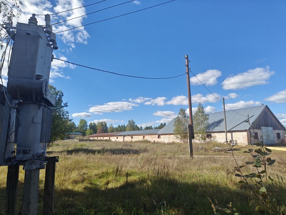 Продам приміщення с/г ферма,свинарник