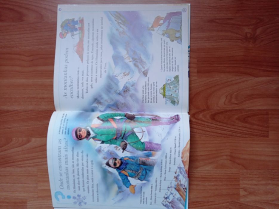 Livro infantil " porque será que?"