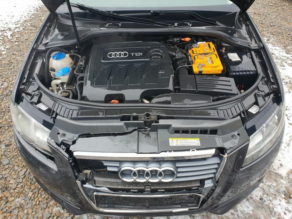 Audi A3 8P 1.6 Tdi 2011 rok CAYB CAYC CAY Silnik skrzynia LHW LZ7L
