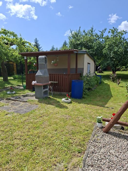 Działka ROD ,,Tulipan" 440 m²