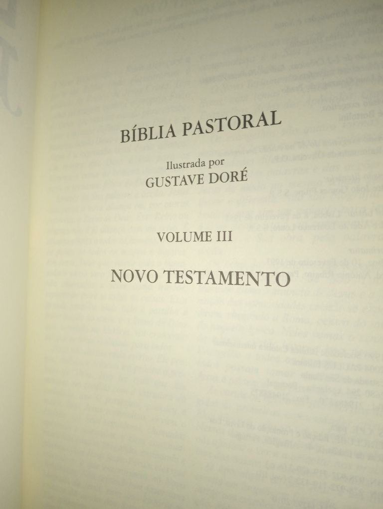 Novo Testamento Gustave Dore Bíblia Pastoral