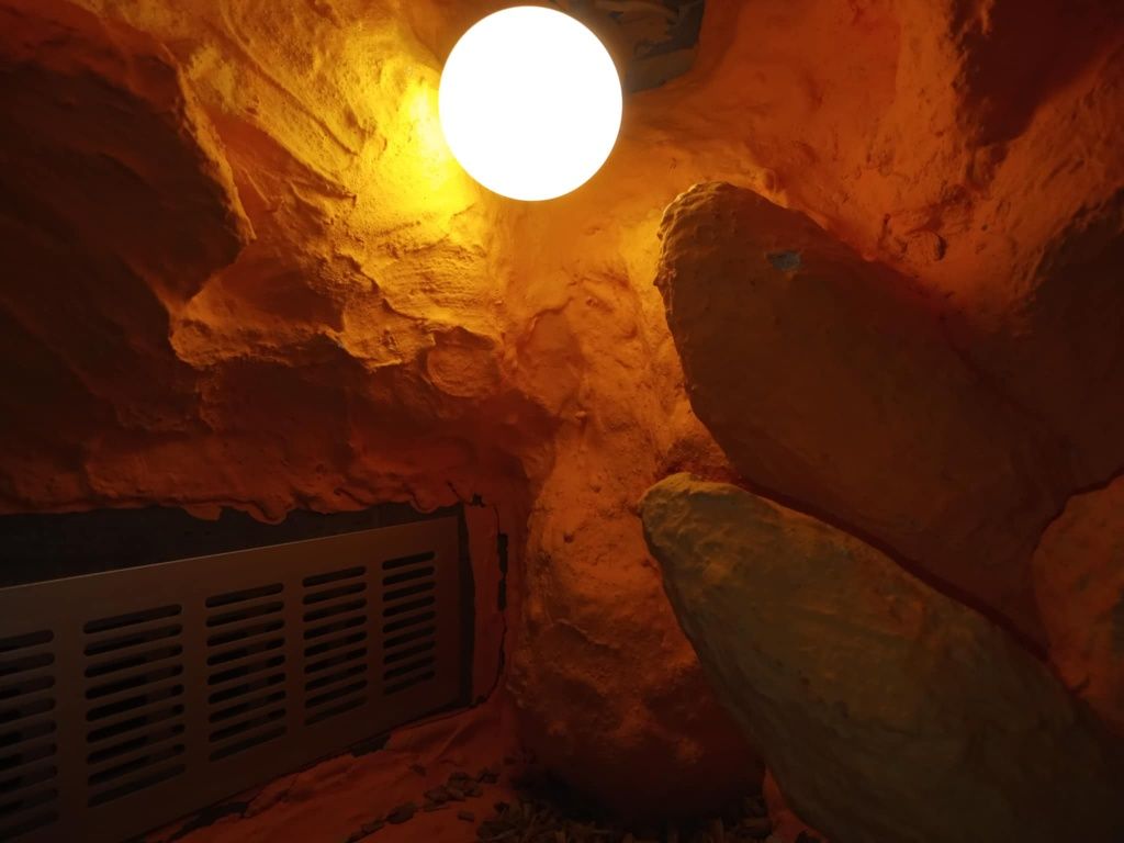 Terarium dla gada z płyty wyposażone