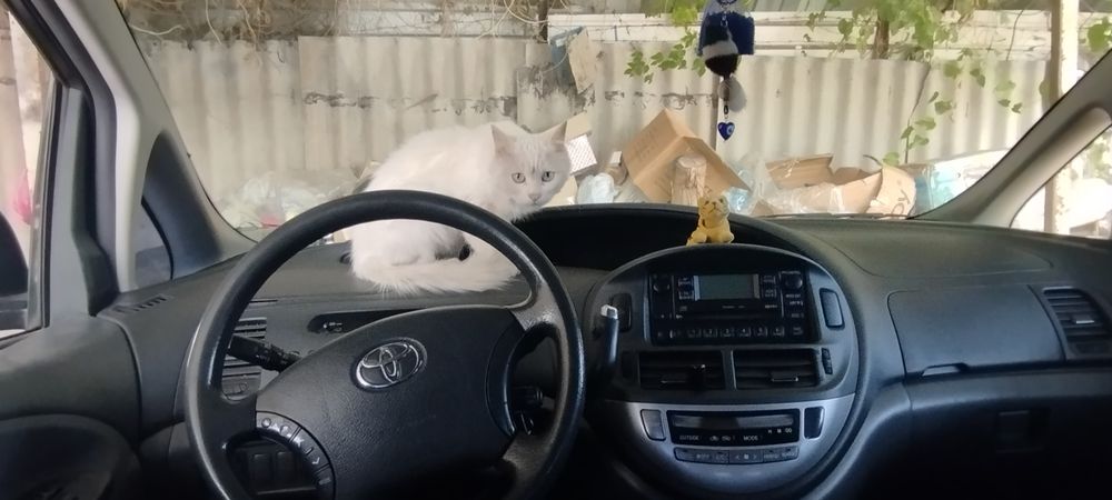 Подушка airbag Тойота превия 2 рестайлинг