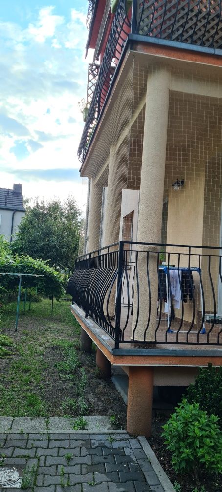 Siatka dla Kota Zielona Góra