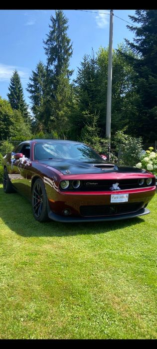 Dodge challenger wynajmę do ślubu