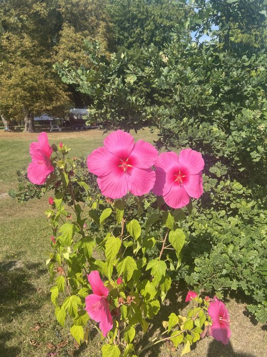 Noclegi , kwatery pracownicze , wynajem sali