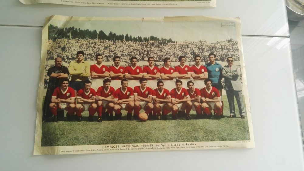 Separata do S.L.Benfica Campeão Nacional e vencedor da Taça 1954/1955