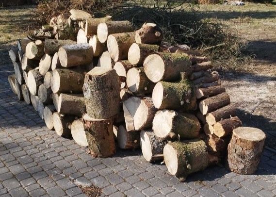 Drewno opałowe świerk