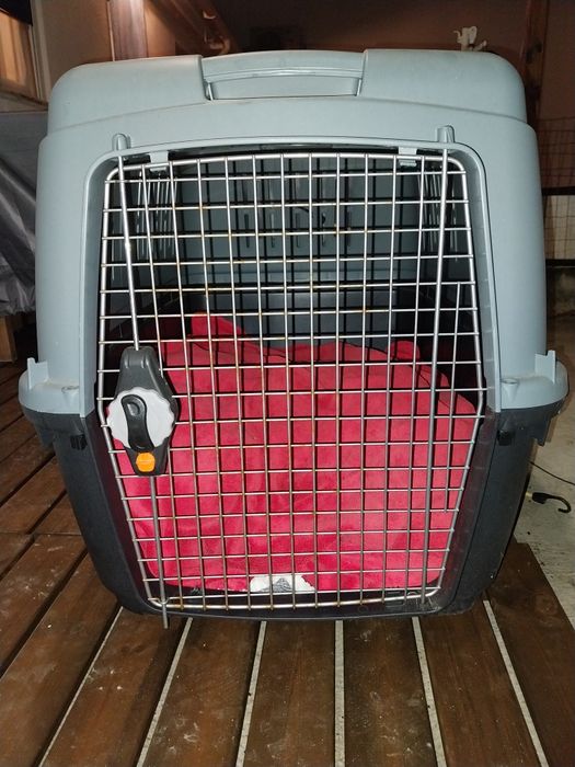 Box cão de porte médio grande