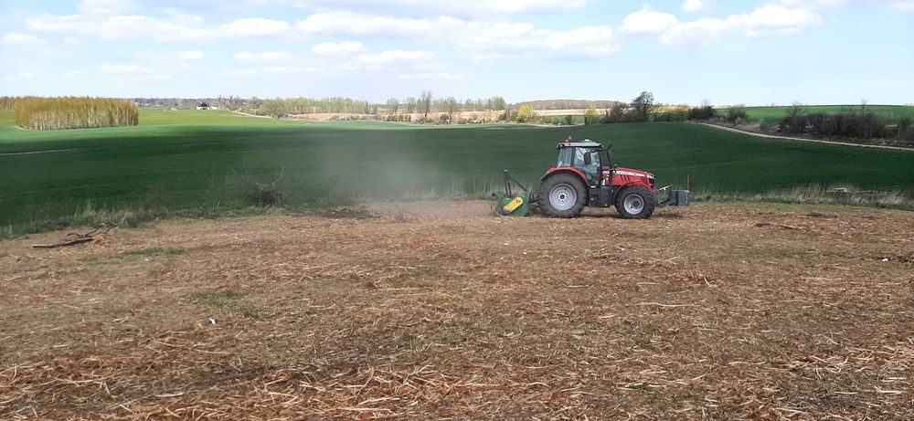 Mulczowanie Karczowanie Czyszczenie Działek Wycinka Samosiejki Mulczer