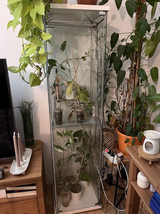 Witryna szklana regał na kwiaty szklo slupek ikea za darmo