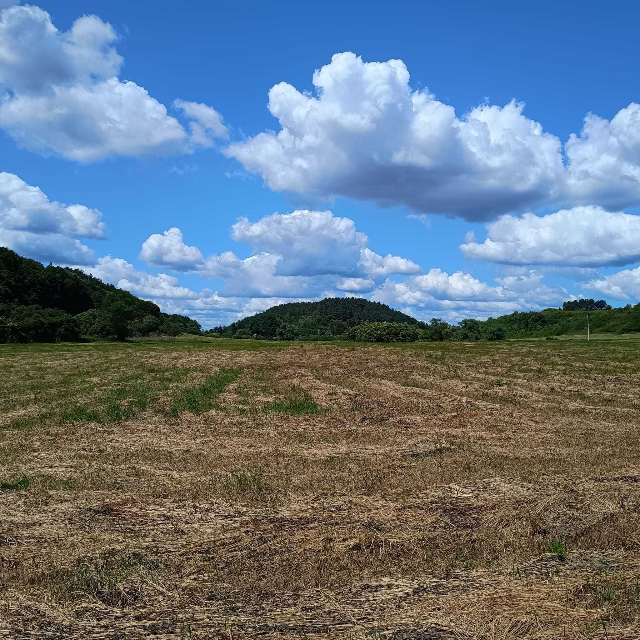 Gospodarstwo - grunty rolne 36ha, ładna lokalizacja