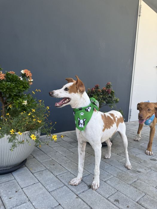 Otávio - 3 anos, 10kg