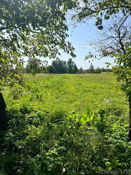 Продаж будинку з великою земельною ділянкою,село Любовичі.Без комісії!