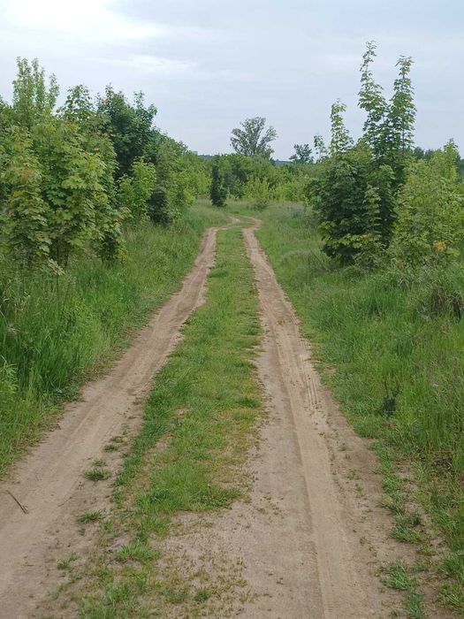 Земельна ділянка 10 соток у селі Шевченкове (Білогородка)