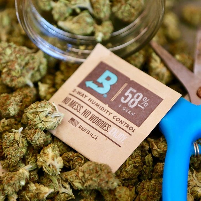 Boveda 62% 4G Saszetka Regulator Wilgotności Susz