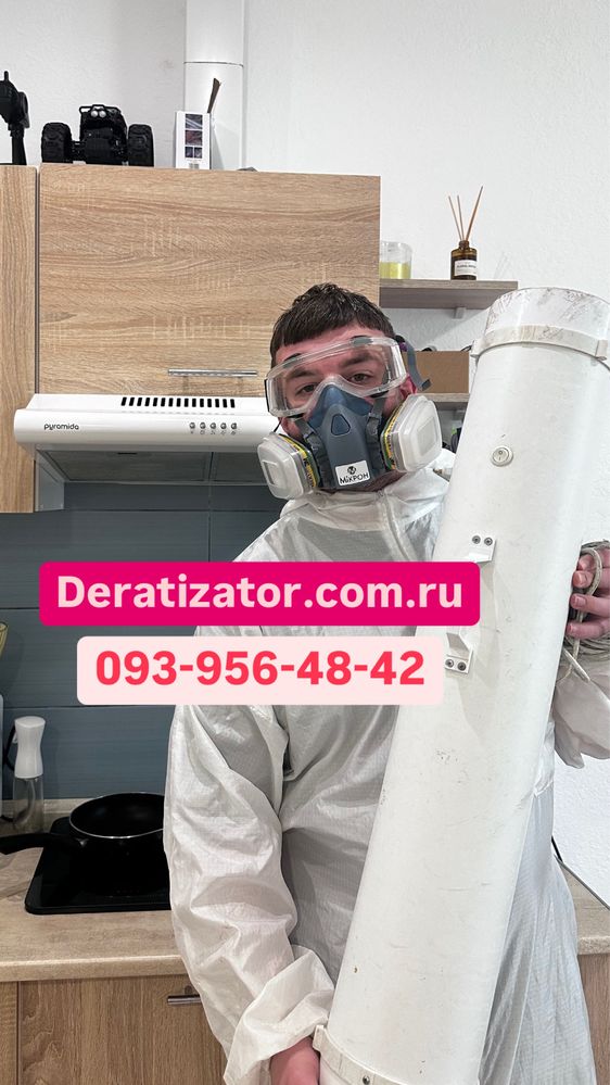 Удаление плесени .Уничтожение грибка ! Дезинфекция от плесени