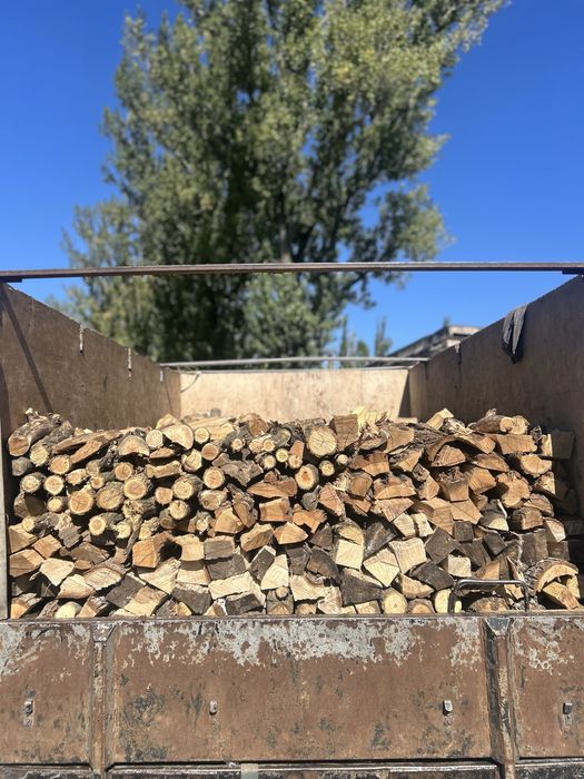 Дрова колоті рубані твердих порід