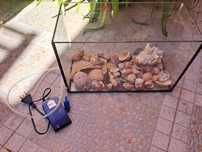 Aquario vidro com pedrinhas